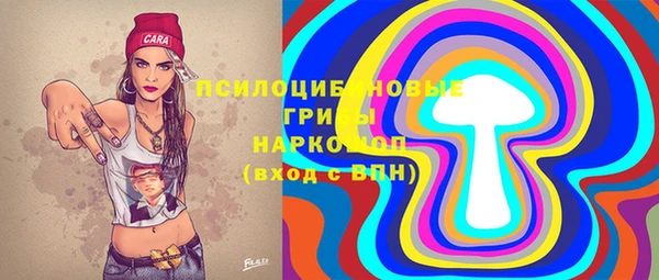 СК Володарск