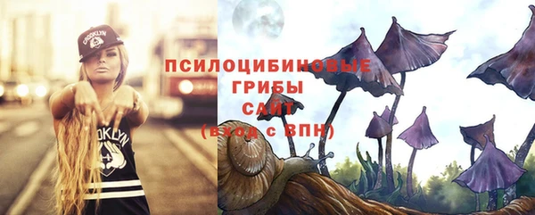 СК Володарск