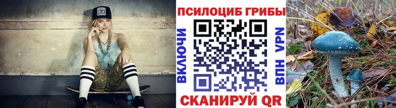 Купить  Кунгур  Галлюциногенные грибы мицелий 
